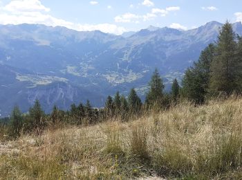 Percorso Mountainbike Barcellonetta - la salce barcelonnette  - Photo