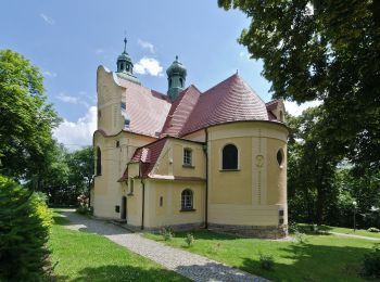 Percorso A piedi Szczytna - Leśny Szlak Wspinaczkowy - Photo