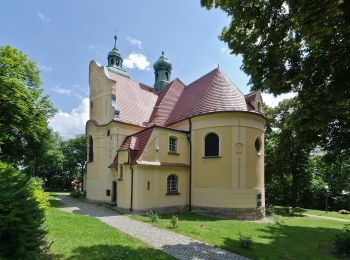 Tocht Te voet Szczytna - Leśny Szlak Wspinaczkowy - Photo