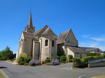 Randonnée Marche Saint-Benoît-la-Forêt - Saint-Benoît-la-Forêt - GR3 PR - 15.1km 205m 3h50 - 2022 07 14 - Photo