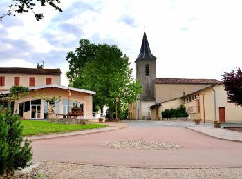 Randonnée Marche Fénols - Aussac Fénols  - Photo