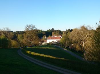 Tour Zu Fuß Nohfelden - Offizierspfad Imsbach - Photo