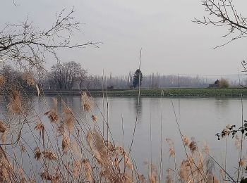 Trail Walking La Voulte-sur-Rhône - La Voulte Via-Rhôna 7KM - Photo