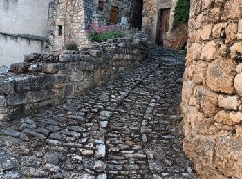 Trail Walking Mostuéjouls - Liaucous-village troglodyte-18-05-22 - Photo