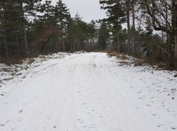 Excursión Marcha nórdica Saint-Pierre-de-la-Fage - St Pierre de la Fage 25 Janvier 2023 - Photo