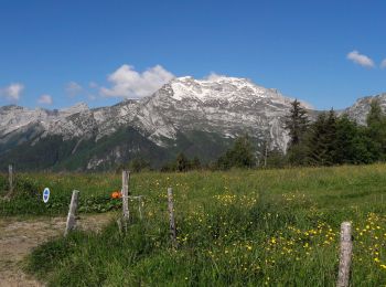 Excursión Senderismo Les Clefs - sulens 2 06 20 - Photo