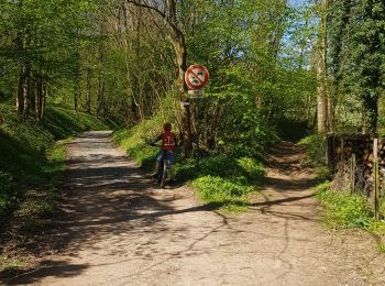 Trail Mountain bike Mutzig - parcours test VTTAE Mutzig  - Photo