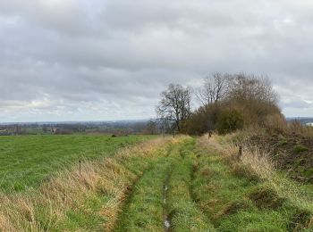 Randonnée Marche Ellezelles - Lahamaide 11,5 km - Photo