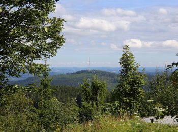 Percorso A piedi Gemeinde Moorbad Harbach - Nordwaldkammweg Verbindungsweg V14 - Photo