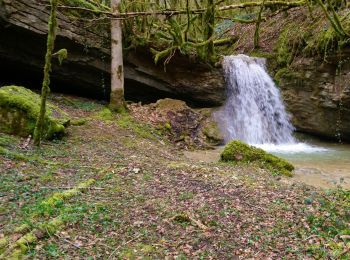 Tocht Stappen Corveissiat - Corveissiat Arnans Selignac  - Photo