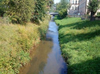 Percorso A piedi Pegnitz - Rundwanderweg Eichblattweg - Photo