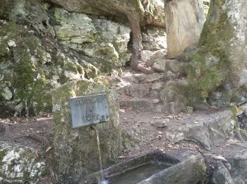 Tour Wandern Val-de-Travers - Môtiert Gorges de la Poetta Raisse Le Chasseron 17 sept 2020 CAF - Photo