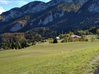 Percorso Marcia Saint-Christophe-sur-Guiers - COL DE LA RUCHERE - Photo