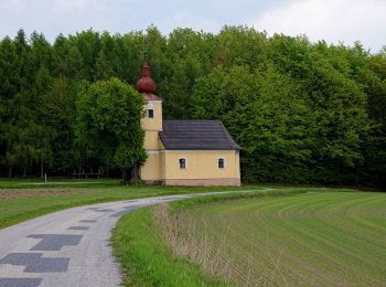 Tocht Te voet Gemeinde Jaidhof - 41 - Photo