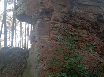 Randonnée Marche Bundenthal - baerensteig bruchweiler baerenbach - Photo