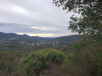 Excursión Senderismo Montauroux - Le lac de Saint Cassien et la réserve biologique de Fondurane - Photo