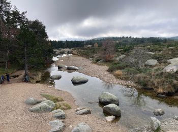 Excursión Senderismo Vialas - Pont du Tarn  - Photo