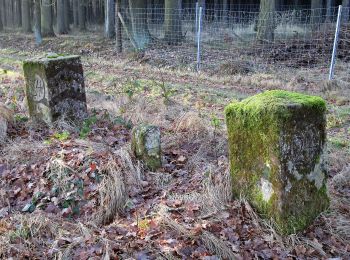 Tour Zu Fuß Schönau-Berzdorf auf dem Eigen - OL-Gelber Strich - Schönau-Berzdorf - Photo