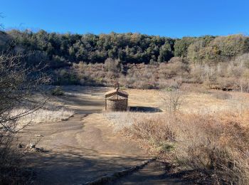 Tour Wandern Santa Pau - La Garrotxa: Volcans de Santa Margarida et de Croscat - Photo