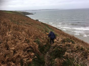 Trail Walking Plonévez-Porzay - 2019-10-31 FINISTERE GR34 AUTOUR DE TREFEUNTEC - Photo