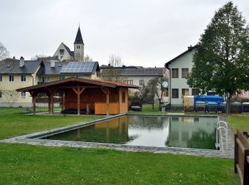 Trail On foot Gemeinde Pottenstein - Pottenstein - Pöllau - Grillenberg - Photo