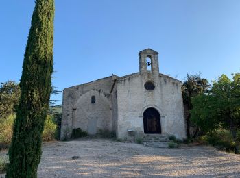 Excursión Senderismo Vaugines - Luberon Vaugines Cucuron  - Photo