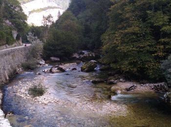 Trail Walking Rencurel - la Balme march'ettes - Photo