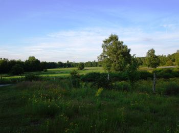 Excursión A pie Hilden - Neanderlandsteig Entdeckerschleife Haaner Innenstadtroute - Photo