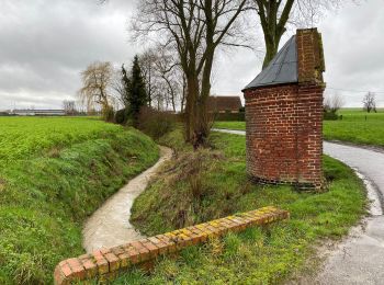 Trail Walking Zwevegem - Sint denijs 17 Km - Photo