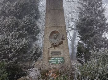 Randonnée Marche Barr - Barr - Mont St Odile - château du Landsberg - Photo