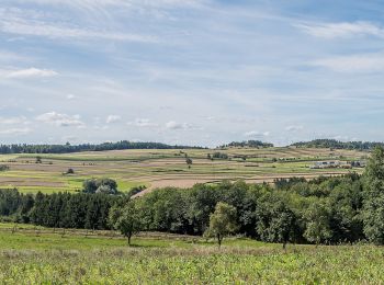 Randonnée A pied Gemeinde St. Leonhard am Hornerwald - 61 - Photo