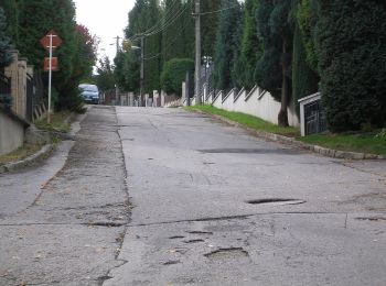 Tour Zu Fuß Bezirk Trentschin - Náučný chodník Klepáč - Photo