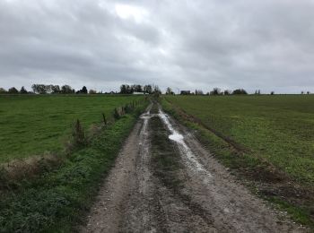 Percorso Marcia Quévy - Givry 17,5 km - Photo