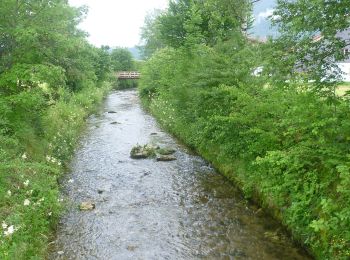 Trail On foot Siegsdorf - SalzAlpenWeg - Traunstein - Zwing - Photo