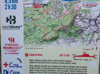 Trail Walking Oloron-Sainte-Marie - G4 Haut doloron - Photo