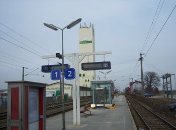 Excursión A pie Gemeinde Gerasdorf bei Wien - Gerasdorfer Rundwanderweg - Photo