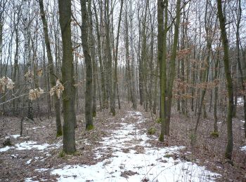 Randonnée A pied Libušín - [Ž] Kamenné Žehrovice (žst) - Libušín - Photo