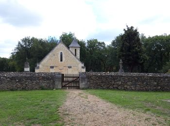 Tour Wandern Gennes-Val-de-Loire - St Pierre en Vaux  - Photo