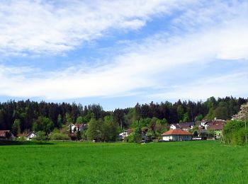 Excursión A pie Desconocido - Görtschach-Karnburg - Photo