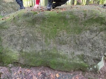 Randonnée Marche Meisenthal - la pierre des 12 apôtres - Photo