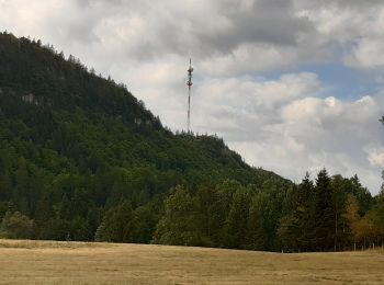 Excursión Senderismo Foncine-le-Haut - GTJ jour 12 - Photo