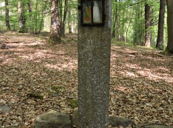 Percorso Marcia Profondeville - RB-Na-20-Paysages_entre_Meuse_et_Burnot - Photo