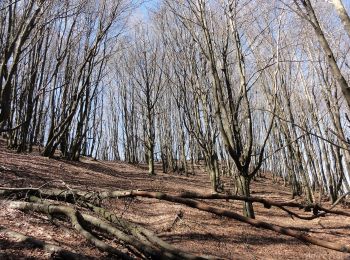 Tour Zu Fuß Marradi - Sorgenti di Firenze Trekking - Anello 20: Sui monti di Dino Campana - Photo