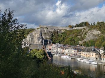 Tocht Stappen Dinant - DINANT ... Montagne de la Croix et l’ île d'Amour. - Photo