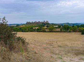 Tocht Te voet Monteriggioni - IT-102 - Photo