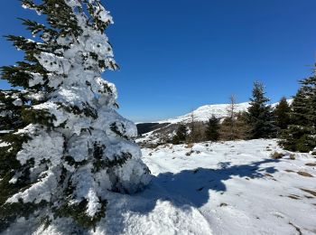 Randonnée A pied Besse-et-Saint-Anastaise - De Super Besse au Lac Pavin - Photo