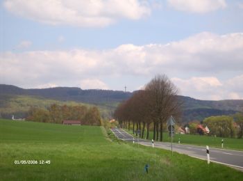 Randonnée A pied Scheden - Rundwanderweg Scheden 4 - Photo