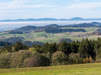 Tour Zu Fuß Kirchschlag bei Linz - Kirchschlag 1er - Photo