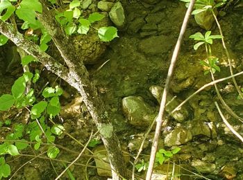 Tocht Stappen Mazaugues - Mazaugues le vallon de l'Herbette - Photo