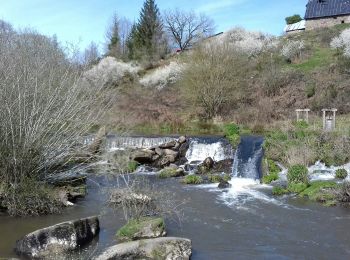 Randonnée Marche Brecé - Brécé - Photo